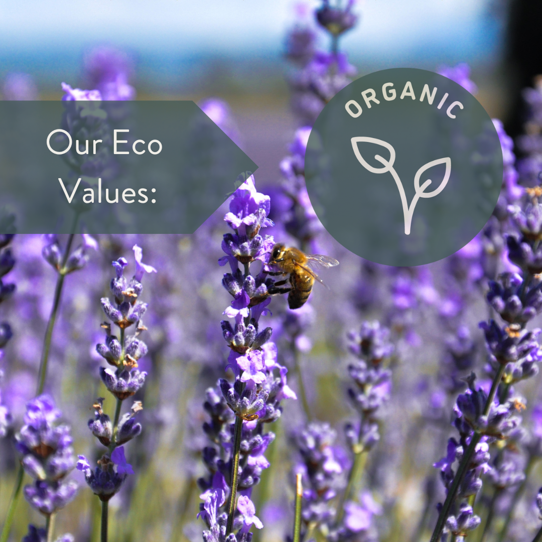 Our Eco Values: Organic