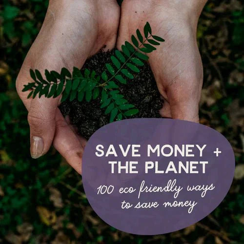 Green Guide to Saving Money and the Planet 2024 - Green Tulip