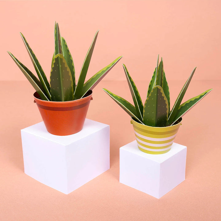 Make Your Own Healing Aloe Vera Plants