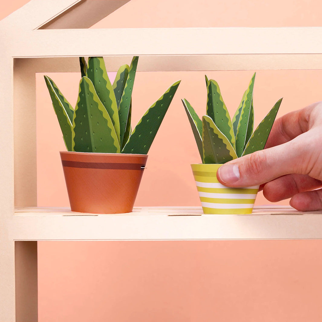 Make Your Own Healing Aloe Vera Plants