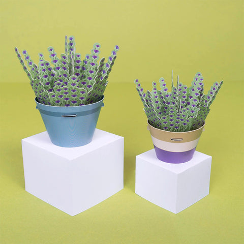 Make Your Own Calming Lavender Plants