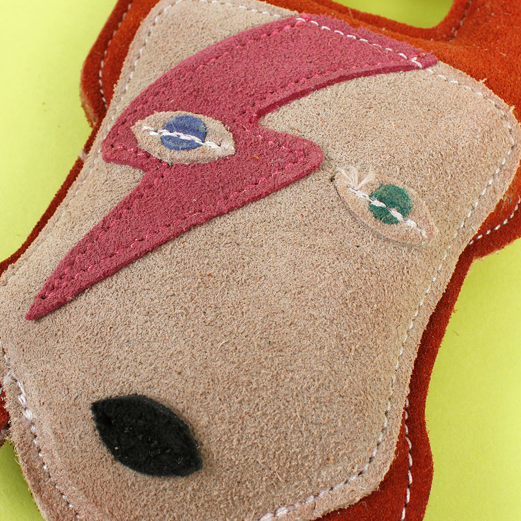 Starman Eco Dog Toy