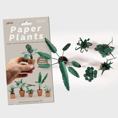 Paper Plants DIY Kit