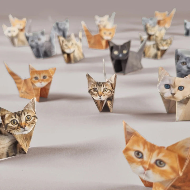 Paper Cats Origami Kit