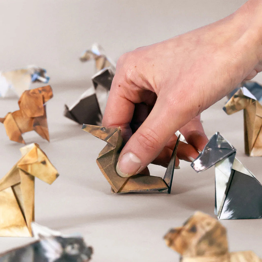 Paper Pups Origami Kit