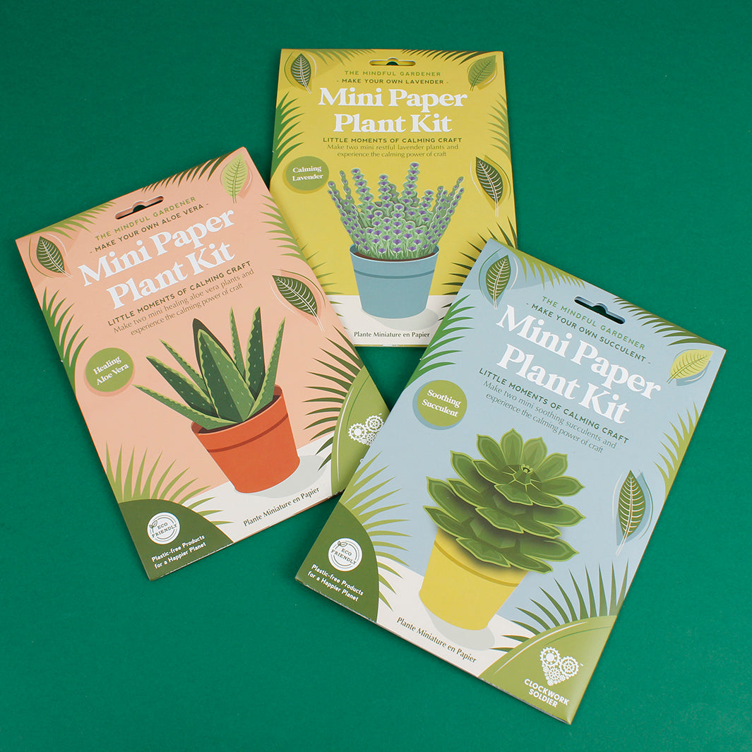 Make Your Own Healing Aloe Vera Plants