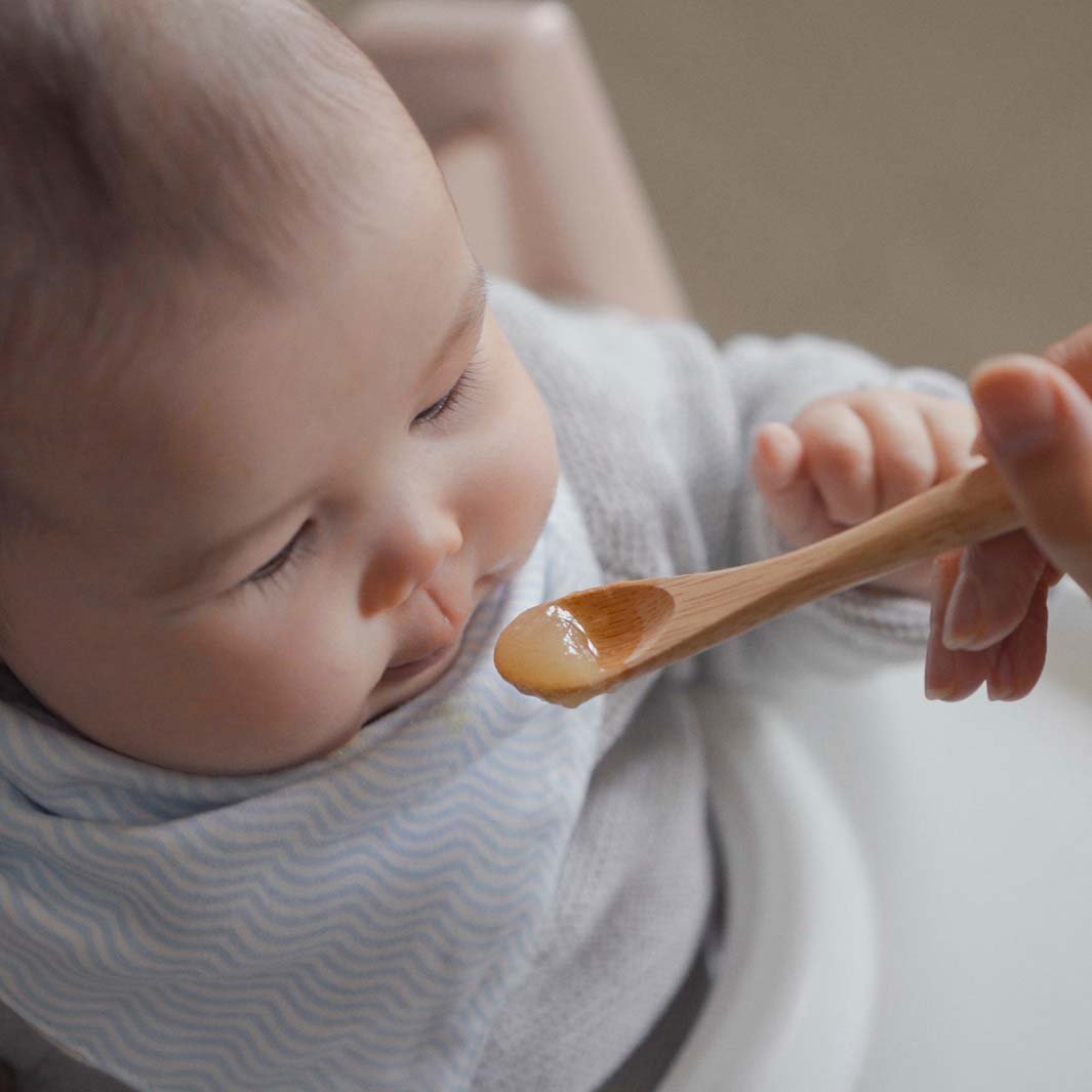 Baby's Bamboo Feeding Utensils - Green Tulip