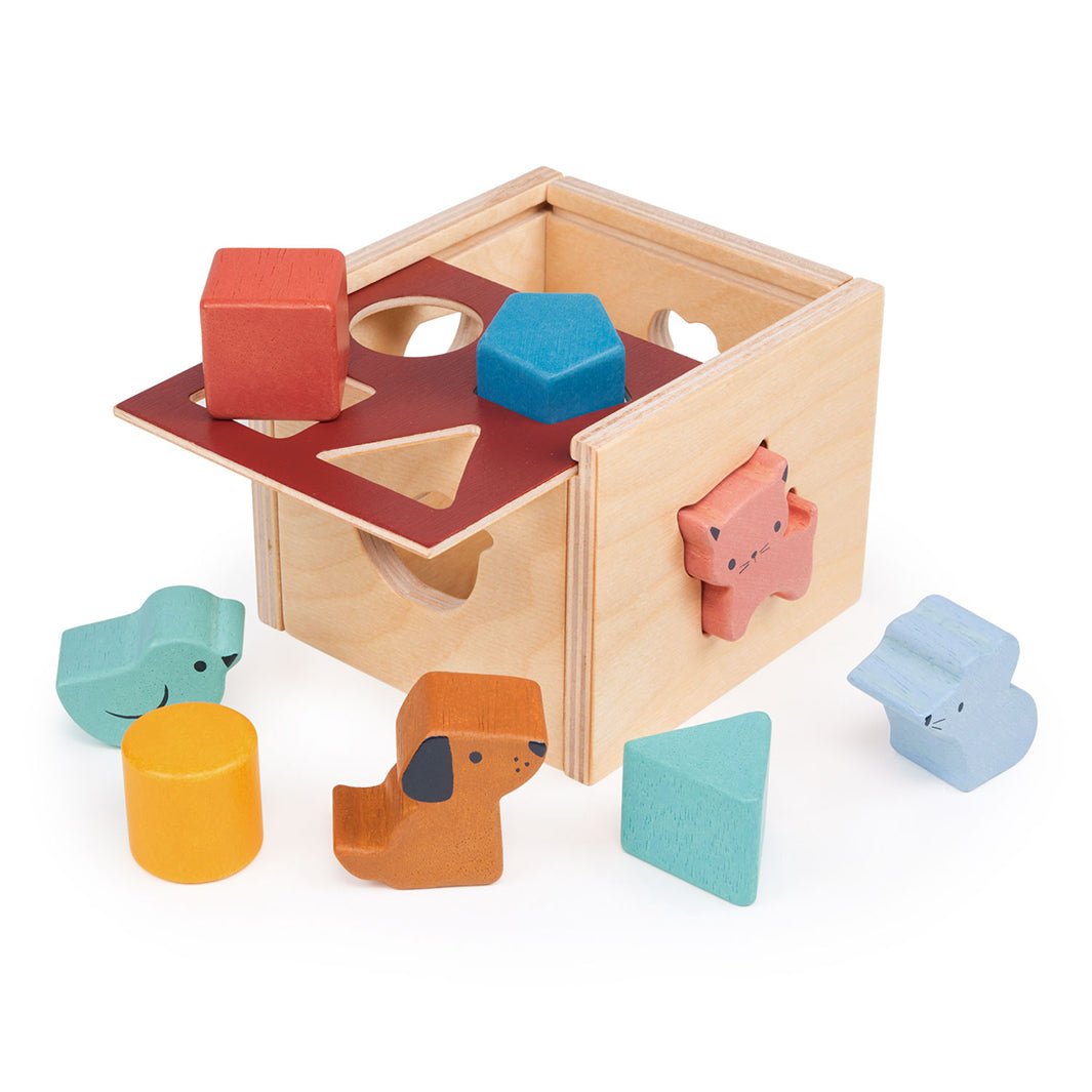 Bambino Shape Sorting Cube - Green Tulip