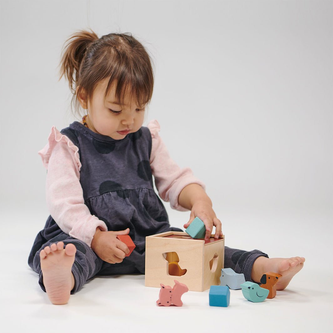 Bambino Shape Sorting Cube - Green Tulip