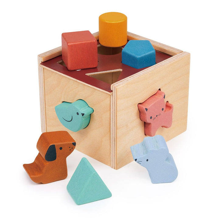 Bambino Shape Sorting Cube - Green Tulip