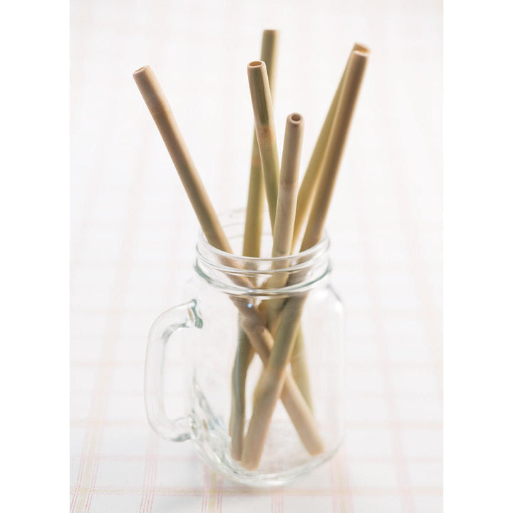 Bamboo Straws & Accessories - Green Tulip