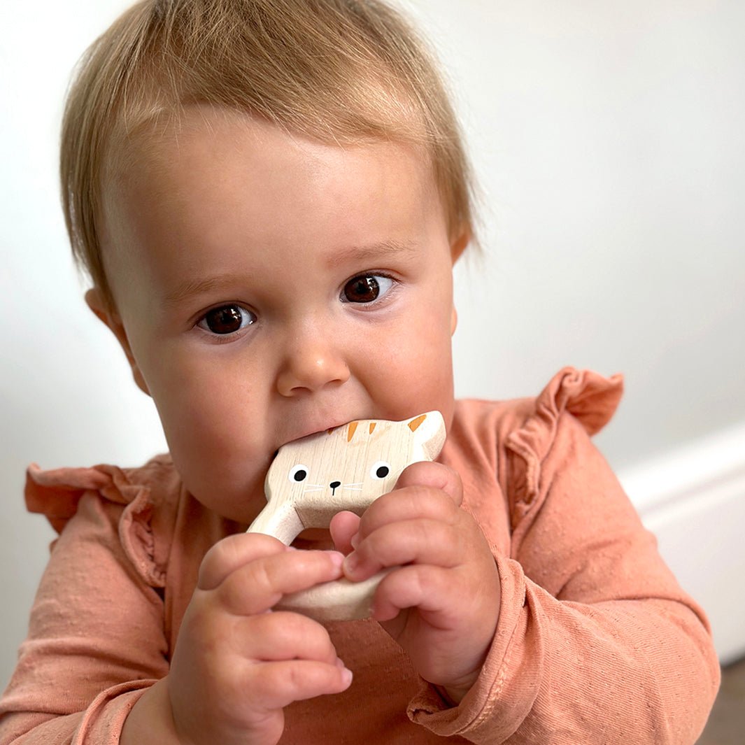 Bird & Kitten Teethers - Green Tulip