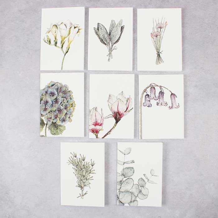 Botanicals Notecard Set - Mixed Box of 8 - Green Tulip