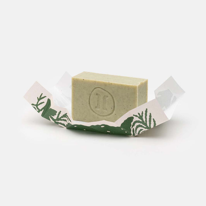 Cypress & Cedar Olive Oil Soap Bar - Green Tulip