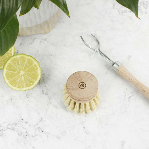 Dish Brush Head - Plant Based Bristles