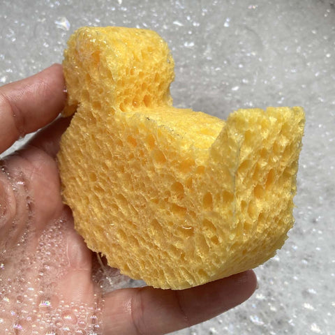 Duck Cellulose Sponge