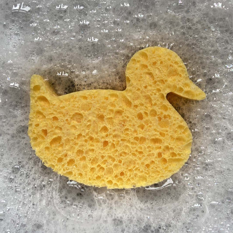 Duck Cellulose Sponge