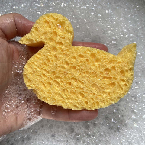 Duck Cellulose Sponge