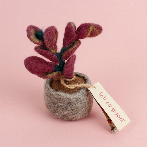 Felt Miniature Pot Plant