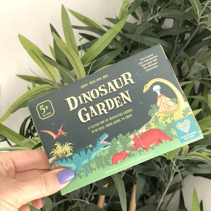 Grow Your Own Mini Dinosaur Garden - Green Tulip