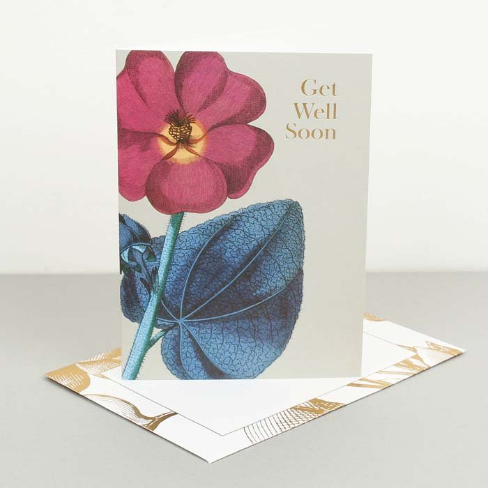Kew Gardens - Get Well Soon Card - Green Tulip