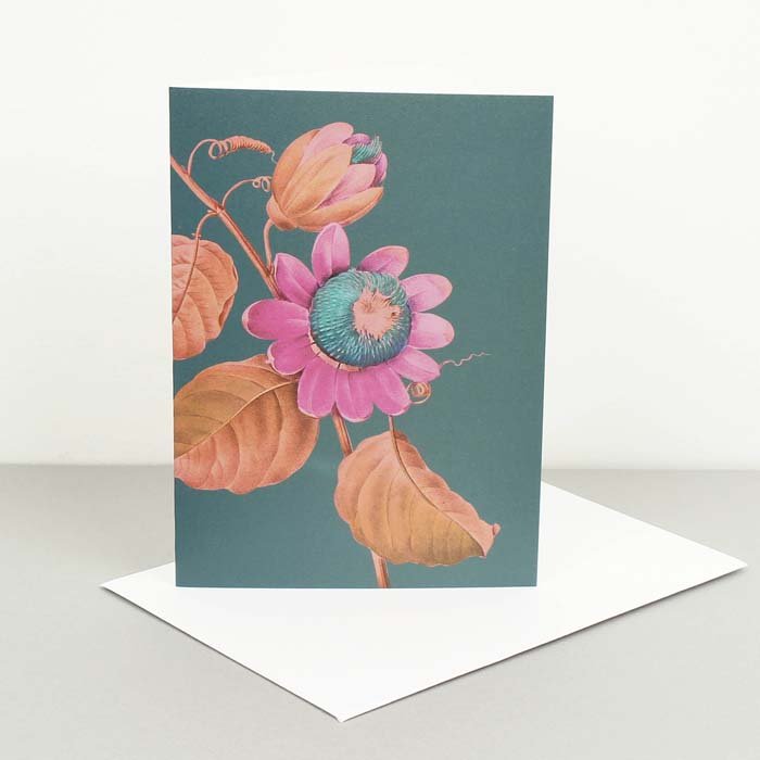 Kew Gardens - Passion Flower Card - Green Tulip