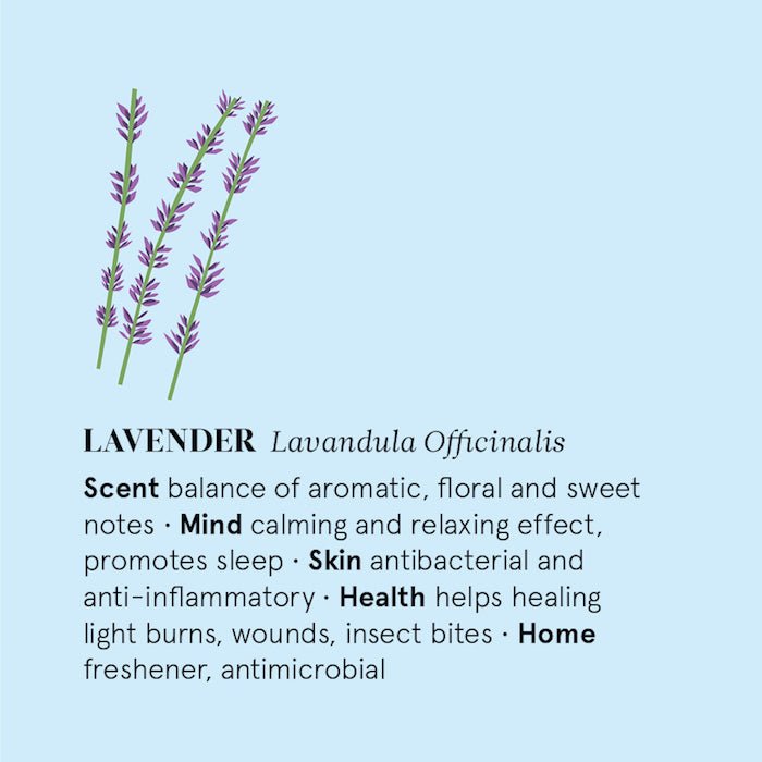 Lavender Essential Oil - 12ml - Green Tulip