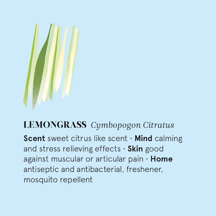 Lemongrass Essential Oil - 12ml - Green Tulip