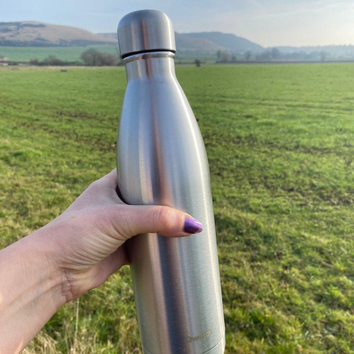 *NQP* Insulated Stainless Steel Bottle - Brushed Steel - 750ml - Green Tulip