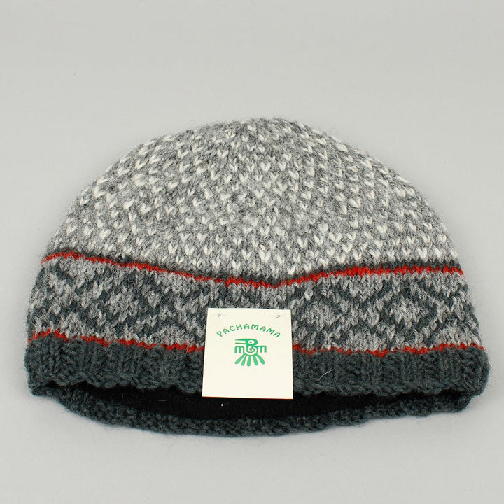 Tromso Graphite Beanie - Green Tulip