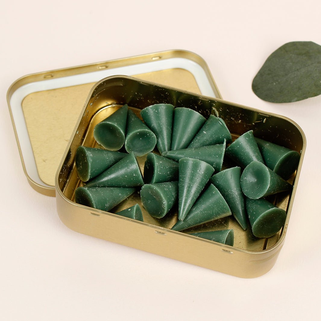 Winter Spice Wax Melts Tin - Green Tulip